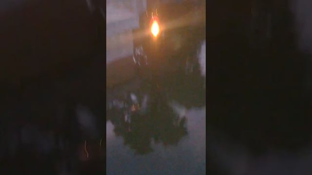 Алушта фонтан с карпами смотреть онлайн