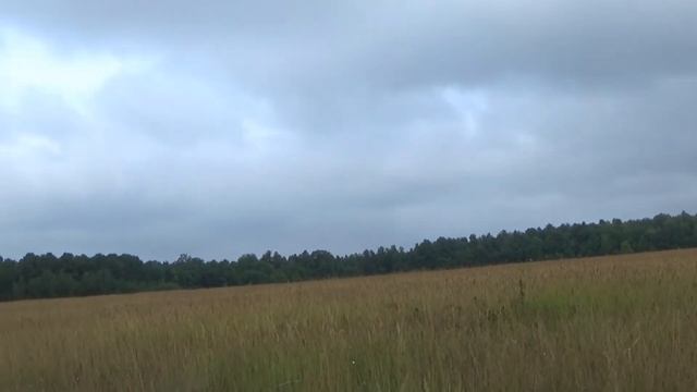 Вегетарианские Рестораны