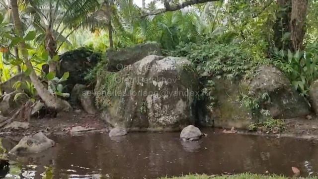 Сейшелы. Seychelles. 塞舌尔。 64