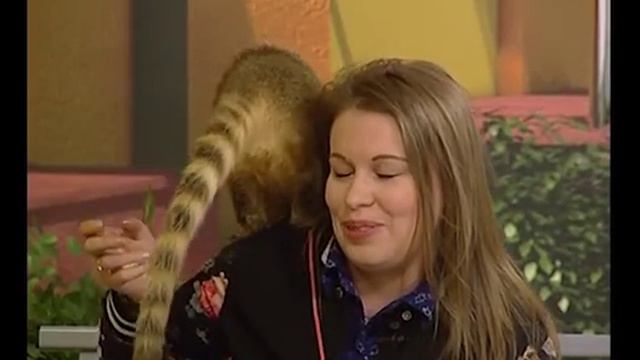 Двор на Субботней: носуха смотреть онлайн