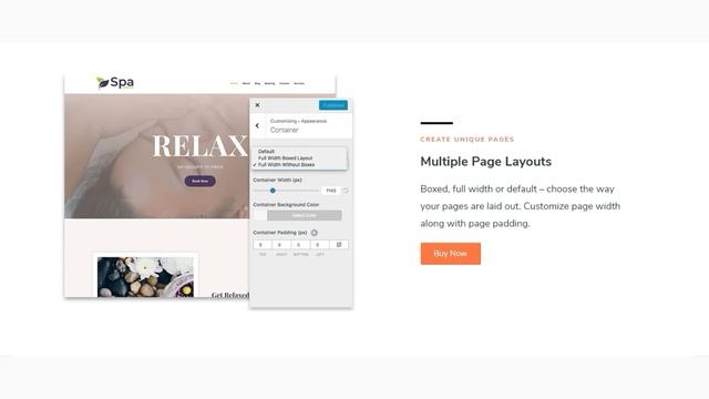CyberChimps Responsive Pro Review: A Fully Customizable WordPress Theme For Bloggers! смотреть онлайн