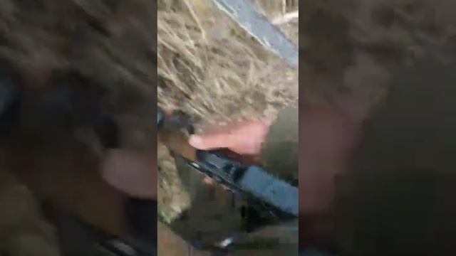 Волки напали на человека смотреть онлайн