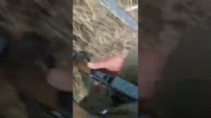 Волки напали на человека