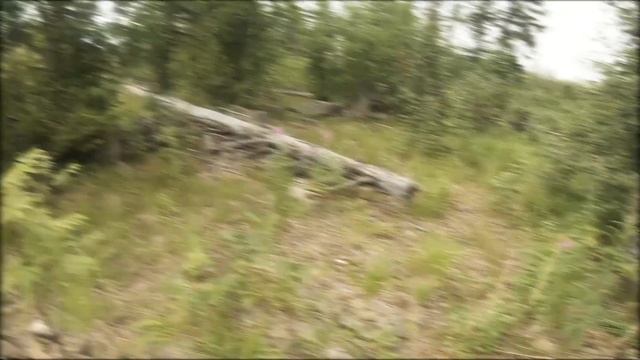 Глк "Гора БЕЛАЯ" летом. Прошлись по местам, где катаем зимой. смотреть онлайн