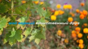 Осенние листья (караоке)