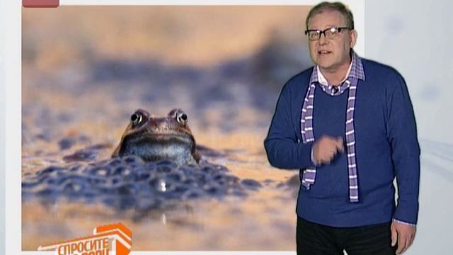 Спросите дядю Вову. Лягушки зимой смотреть онлайн