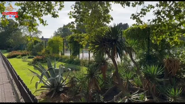 456 - قصة في ظروف غامضة!! смотреть онлайн