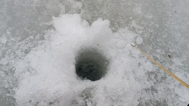 Маленькая рыбалка в тумане смотреть онлайн