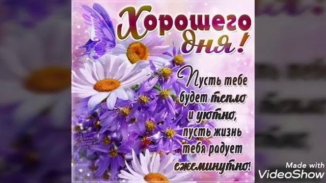 Привет друзья !!! Красивая песня и цветы для Вас !!! Всем желаю здоровья !!! Счастья и любви !!! смотреть онлайн