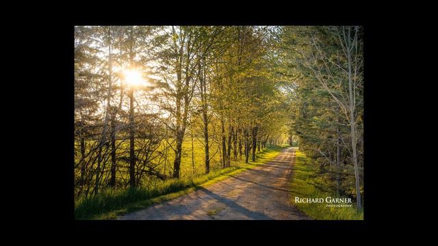 Richard Garner Photography смотреть онлайн