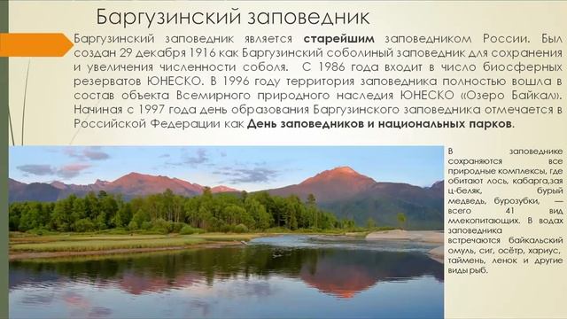 Заповедники России смотреть онлайн