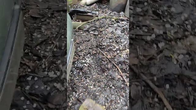 Как сшить бензин с Лада калина. Самый простой способ. смотреть онлайн