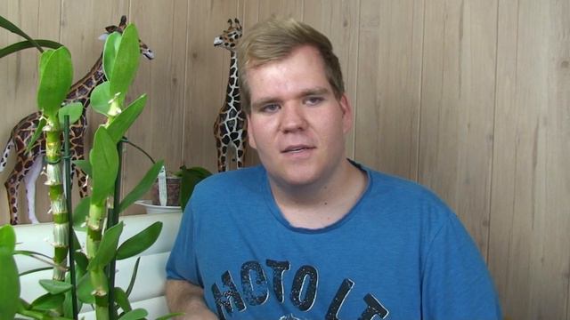 Orchideenbewertung in Köln смотреть онлайн