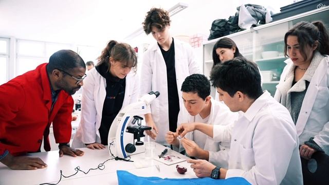 Швейцарская формула успеха: инновации, наука и образование в Швейцарии смотреть онлайн