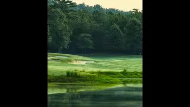 Зеленая гармония медитация в картинках 16 09 2014 смотреть онлайн