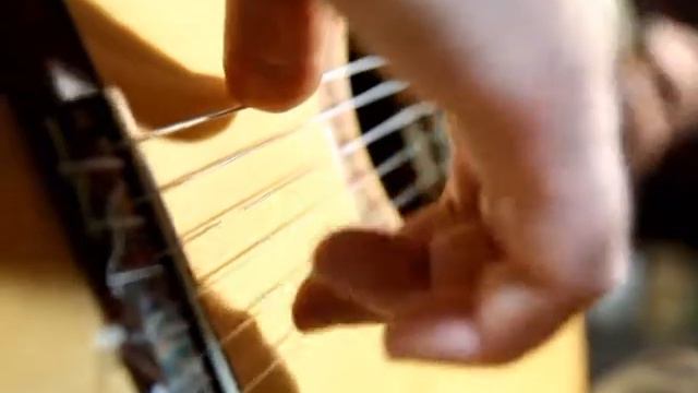 Angelo Waltz (Gypsy Jazz & Flamenco Guitar) смотреть онлайн