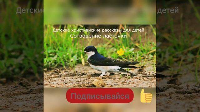 Христианский рассказ для детей "Сотворение ласточки" смотреть онлайн