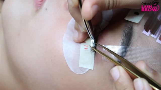 VOLUME EYELASH | BROWN EYELASH EXTENSIONS TUTORIAL смотреть онлайн
