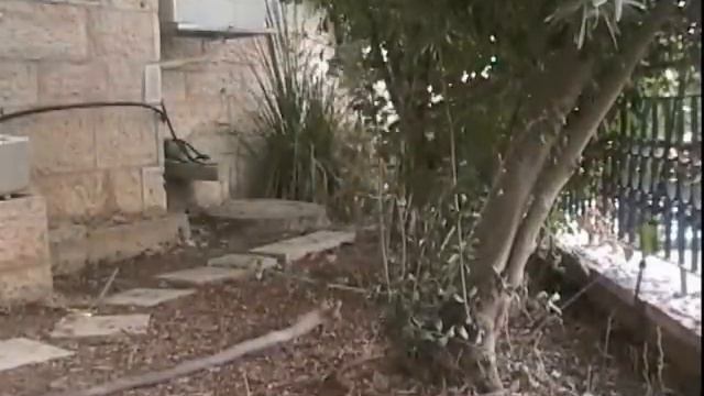 Zionist Seminars - Perth 2009 смотреть онлайн