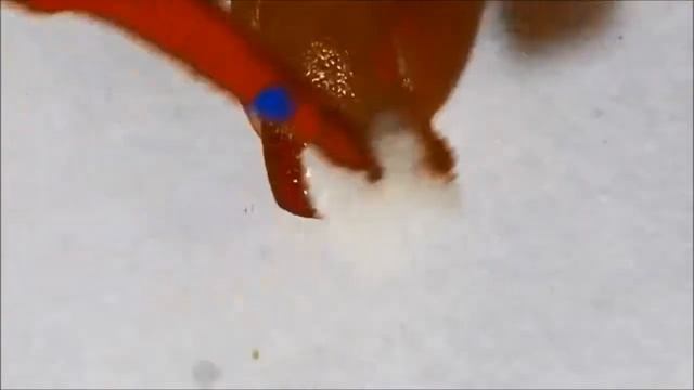 Градиент с блеском Модный дизайн ногтей смотреть онлайн