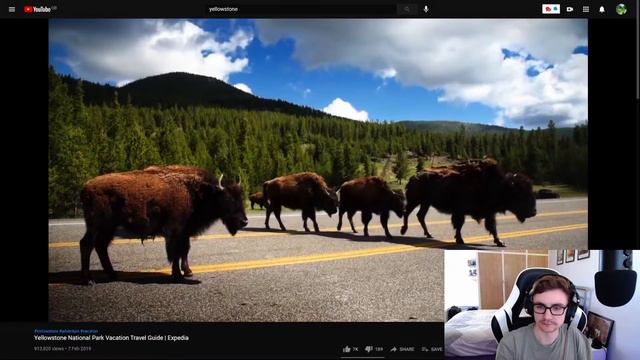 Northern British guy Reacts to Yellowstone National Park USA AMERICA! #react смотреть онлайн