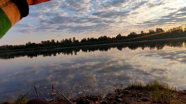 Рыбалка НА реке Припять | Мусор плывет вместе с рыбой | 2022. смотреть онлайн