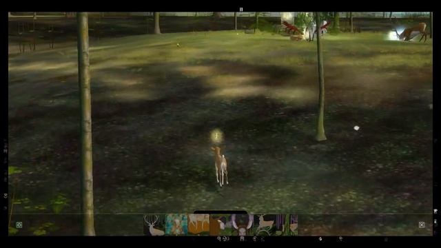 Quality Discourse: Endless Forest Spotlight смотреть онлайн