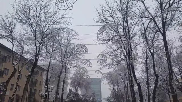ШЫМКЕНТ/ДЕКАБРЬ 2018/А СНЕГ ИДЁТ....❄❄❄ смотреть онлайн
