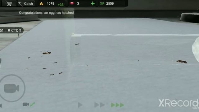 ant sim tycoon прохождение 2 смотреть онлайн