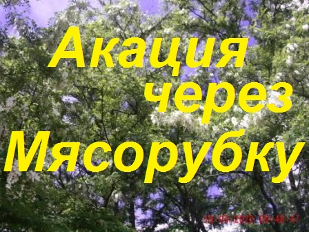 Берём мясорубку и крутим мёд Белой Акации. смотреть онлайн