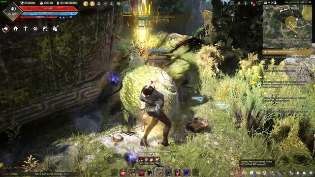 BLACK DESERT смотреть онлайн