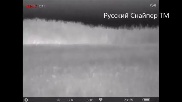 Охота на кабана, Сайга 7,62х39 с модератором Русского Снайпера