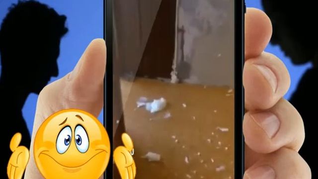 Пеню двери! Все запенил, кроме дверей смотреть онлайн