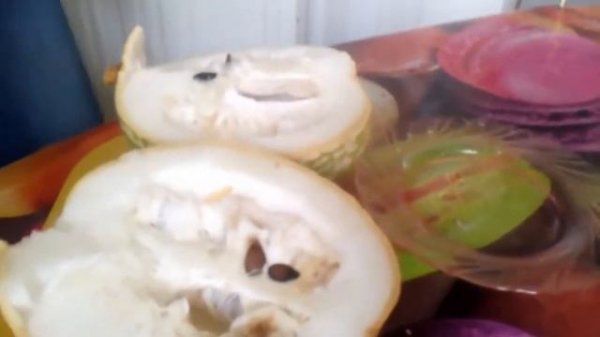 ? Фицефалия - фиголистная тыква. Что за плод фицефалия (фицифолия)?