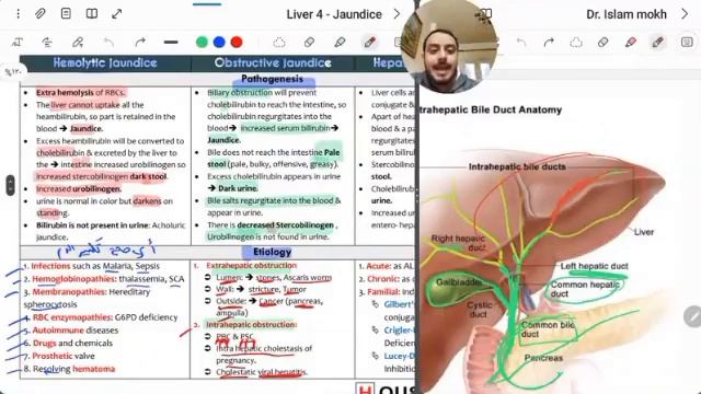 internal medicine 9 - GIT - Liver 4 - jaundice смотреть онлайн