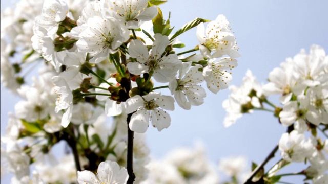 Защита своего мировоззрения и энергетического пространства