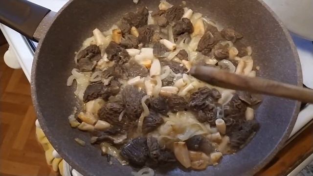 Сморчковая шапочка (Verpa bohemica). Гриб на месте произрастания, при приготовлении и на вкус. смотреть онлайн