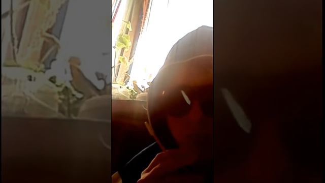 ПО ТИХОЙ ГРУСТИ ! ПАРУ СЛОВ ! смотреть онлайн