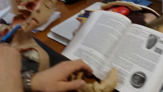 Полость рта смотреть онлайн