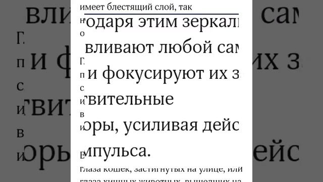 Почему у кошки светятся глаза? смотреть онлайн