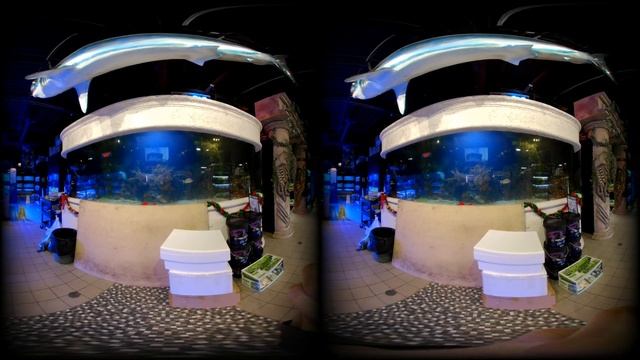 3d quick test video of a Shark Tank смотреть онлайн