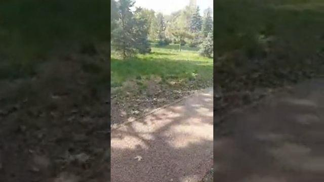 #Алматы#прогулка онлайн# Ботанический Сад Алматы! Общение с друзьями! смотреть онлайн