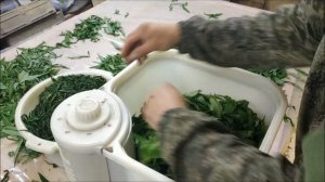 Быстрый способ скручивания Иван чая кипрея