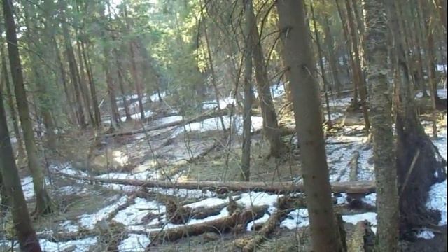 Поход на тайник Маркированный маршрут Физтех смотреть онлайн