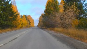 Город Белорецк . ЖД станция 8 км .Скульптурная композиция из трех лосей на въезде в город !