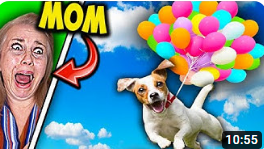 BEST Wigofellas PRANKS on MOM - Wigofellas Pranks on Girlfriend - Wigofellas Pranks TikTok - DAY 10 смотреть онлайн