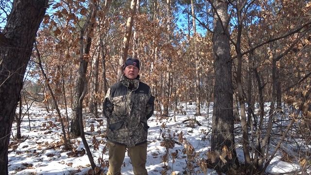 Приглашение на выставку собак  охотничьих пород.