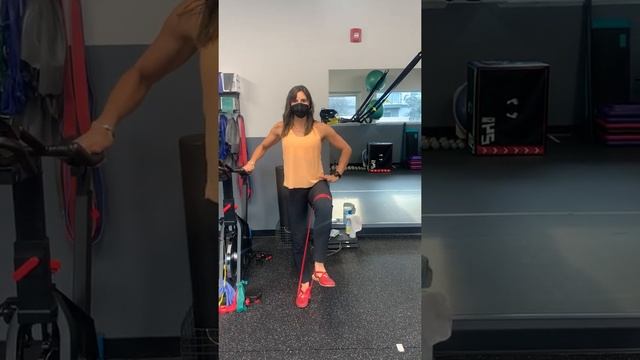 Hip Flexion Isometric Exercise смотреть онлайн