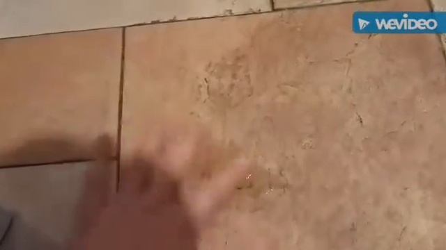 Как очистить структурный кафель смотреть онлайн