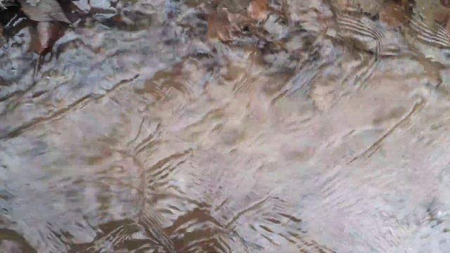 Мостик из веток может поменять русло речушки смотреть онлайн